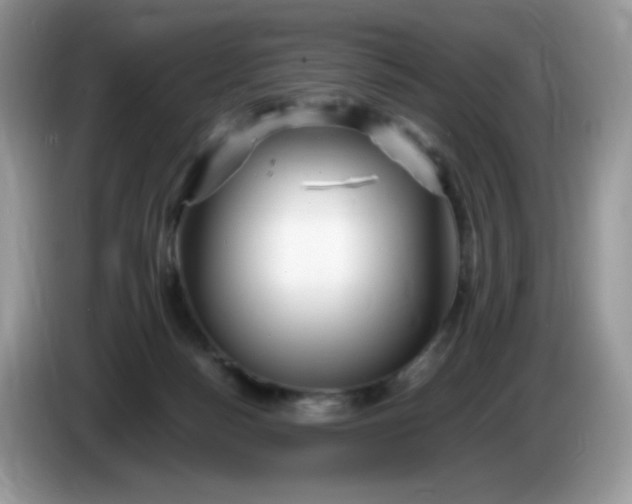 X0000086230172200704121922