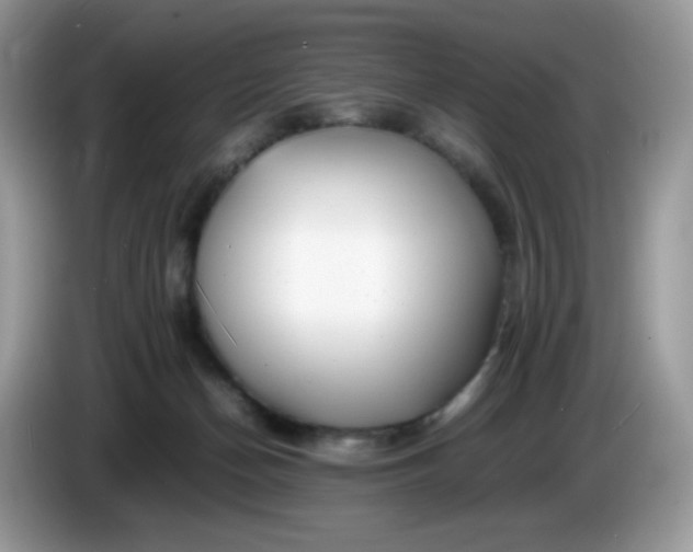 X0000086230174200704121922