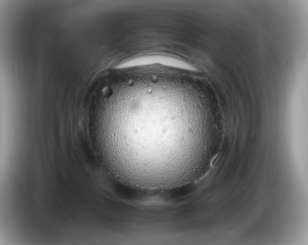 X0000086230175200704121922