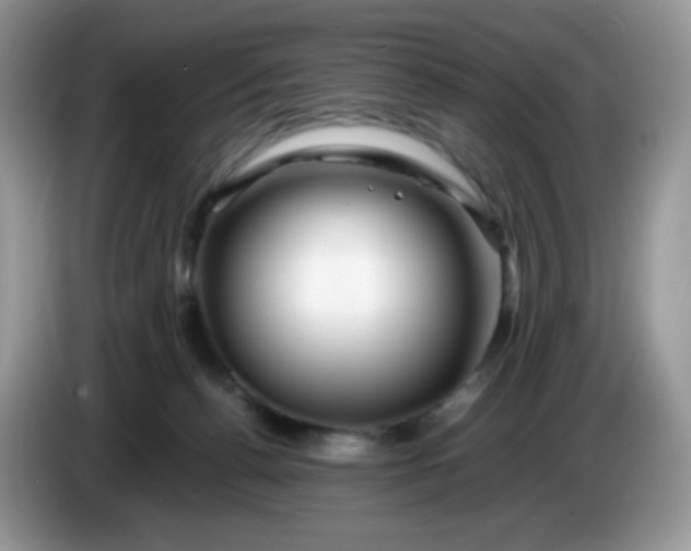 X0000086230176200704121922