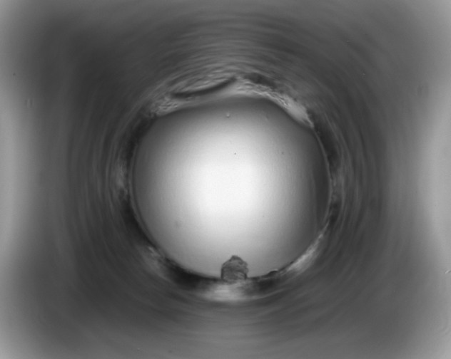 X0000086230178200704121922