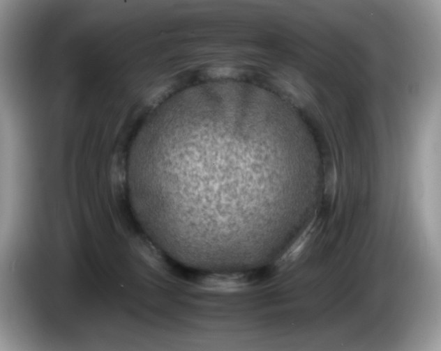 X0000086230179200704121922