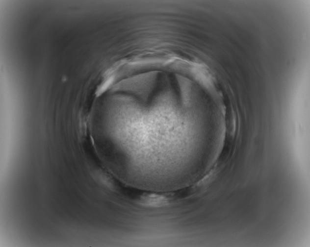 X0000086230180200704121922