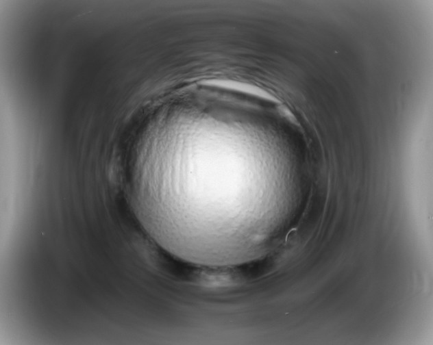 X0000086230181200704121922