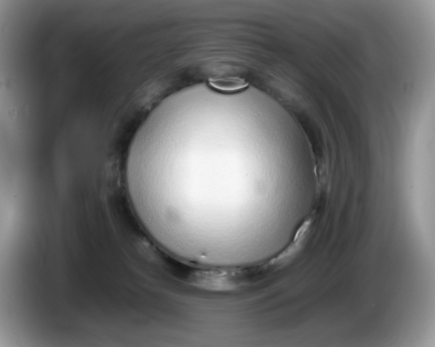 X0000086230182200704121922