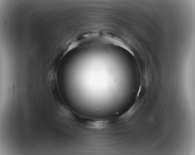 X0000086230184200704121922