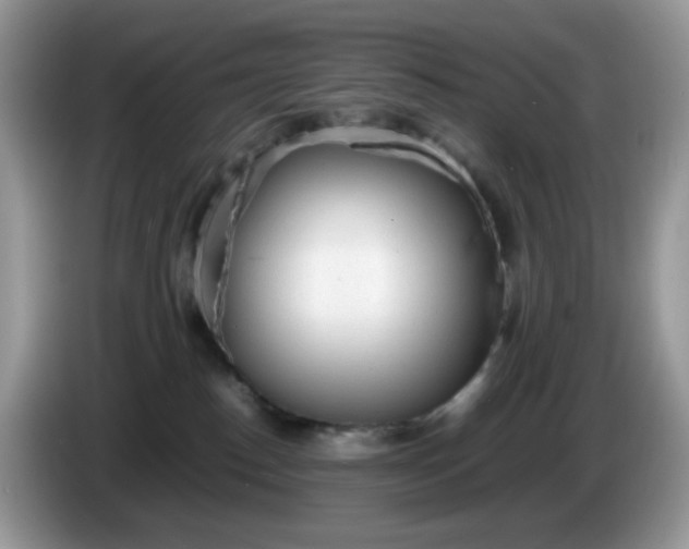 X0000086230186200704121922