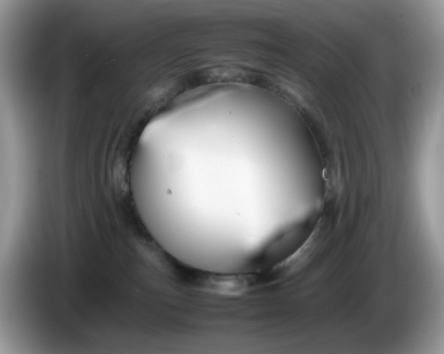 X0000086230187200704121922