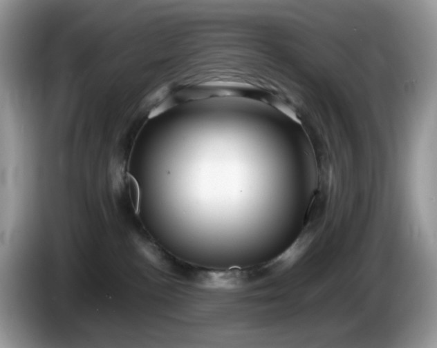 X0000086230188200704121922