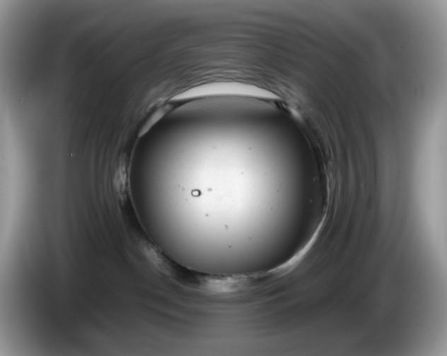 X0000086230190200704121922