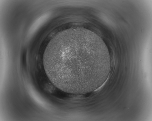 X0000086230191200704121922