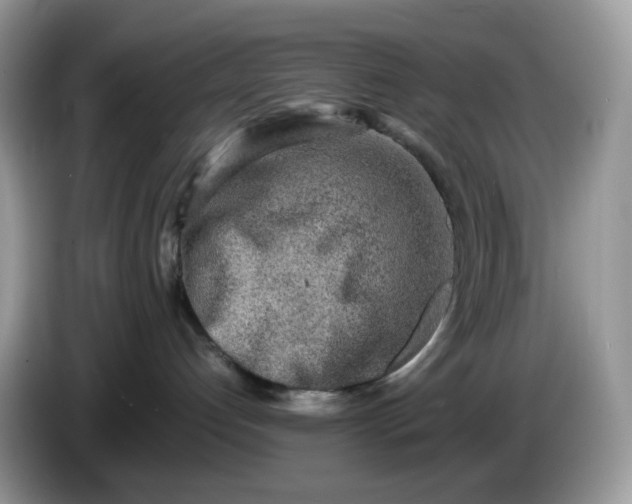 X0000086230192200704121922