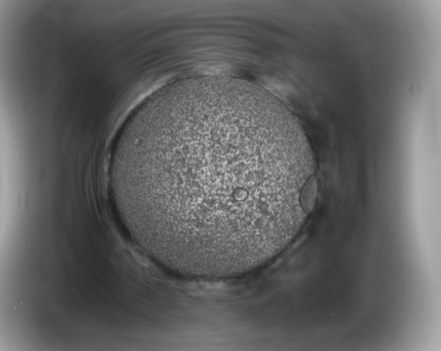 X0000086230194200704121922