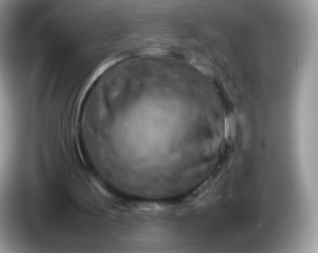 X0000086230195200704121922