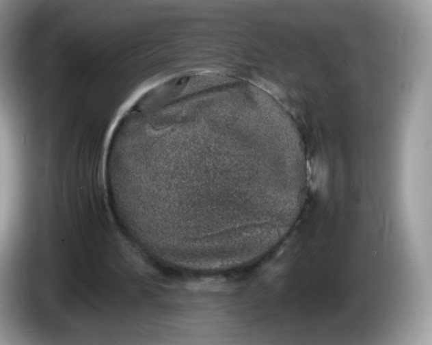 X0000086230196200704121922