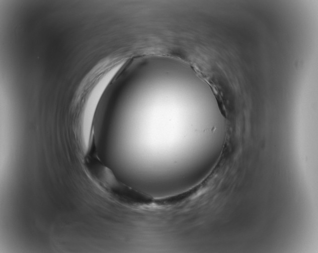 X0000086230197200704121922