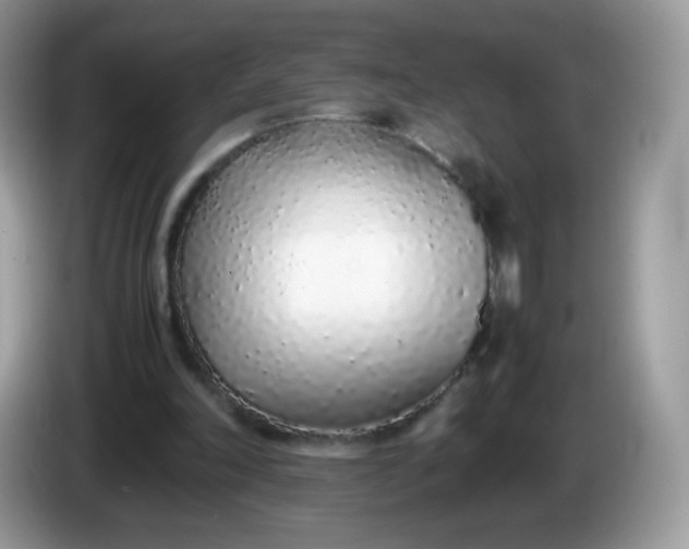 X0000086230198200704121922