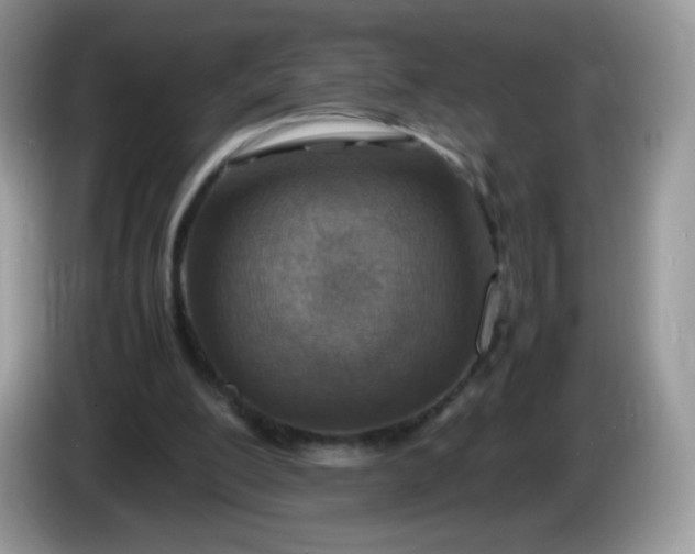 X0000086230200200704121921