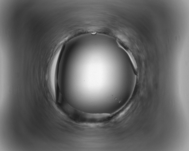 X0000086230201200704121921