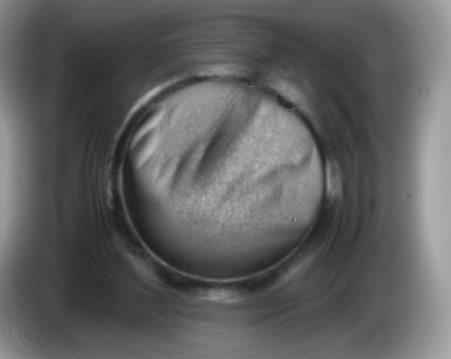 X0000086230204200704121921