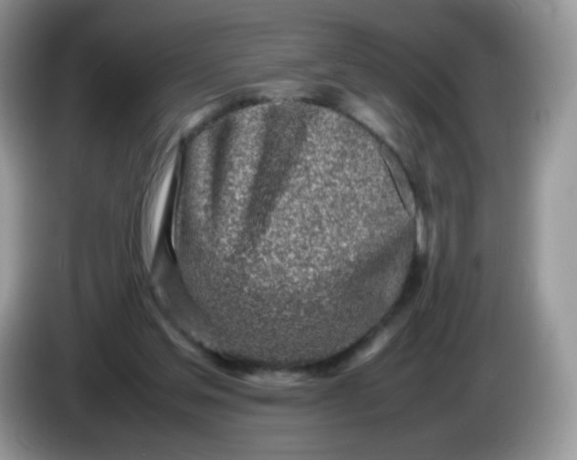 X0000086230205200704121921