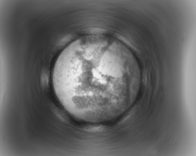 X0000086230206200704121921