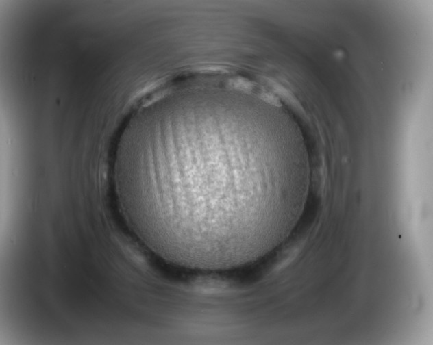 X0000086230207200704121921