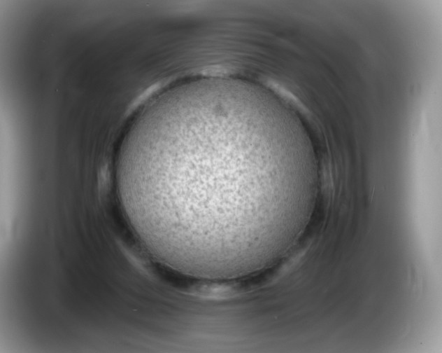 X0000086230208200704121921