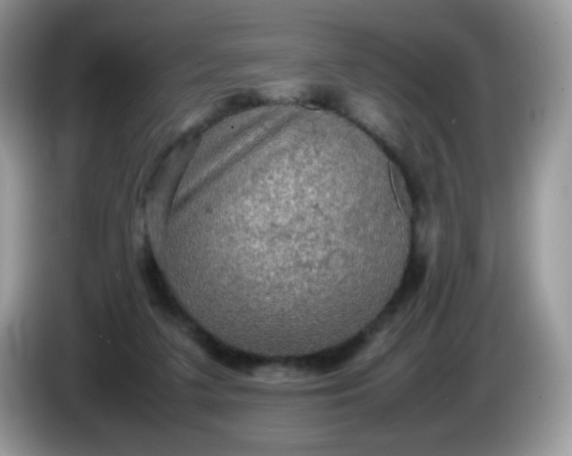 X0000086230211200704121921