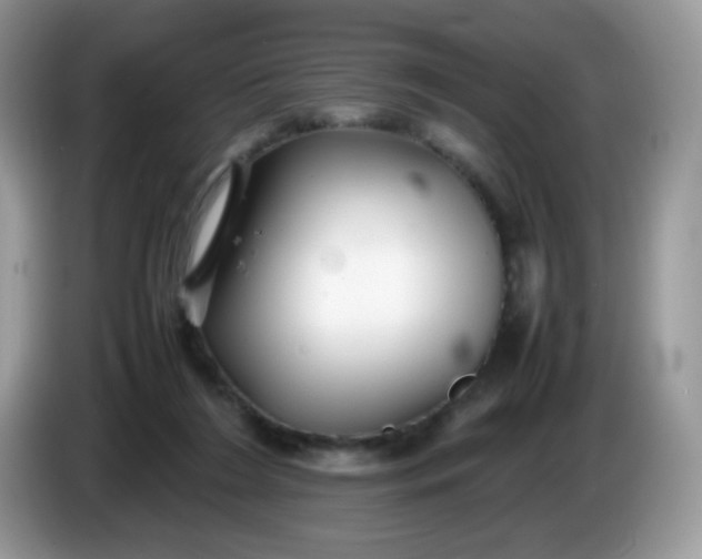 X0000086230212200704121921