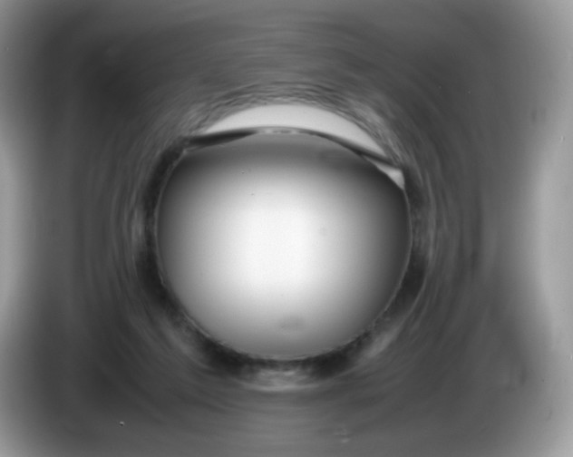 X0000086230213200704121921