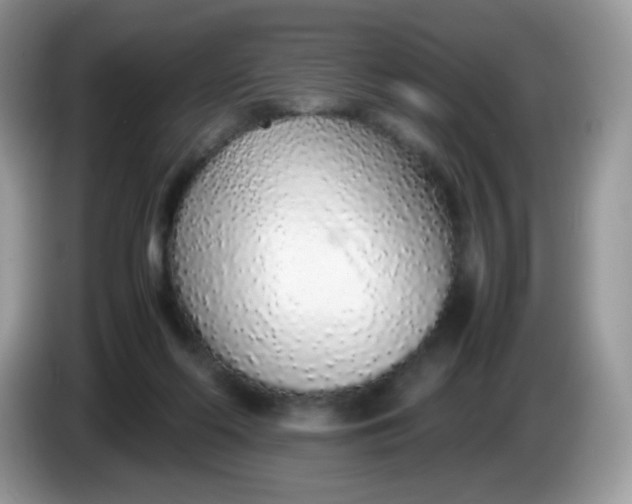 X0000086230214200704121921