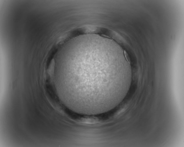 X0000086230215200704121921