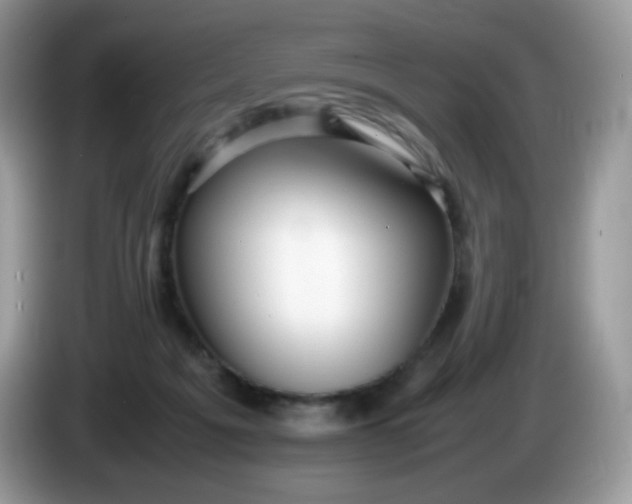 X0000086230217200704121921