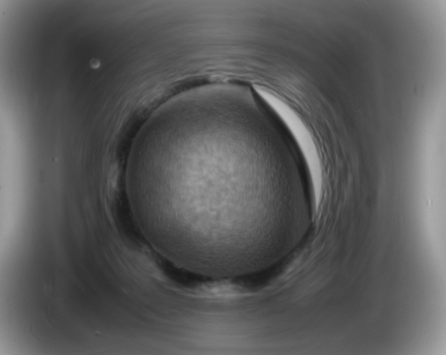 X0000086230219200704121921