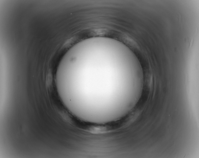 X0000086230220200704121921