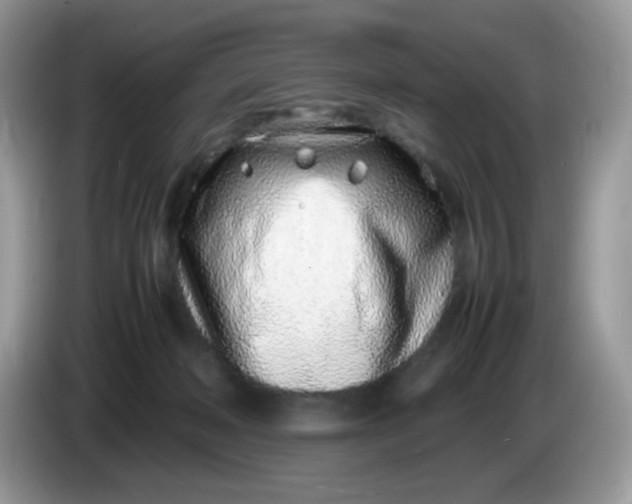 X0000086230222200704121921