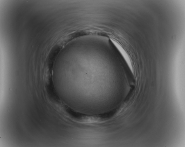 X0000086230223200704121921