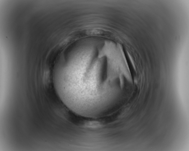 X0000086230224200704121921