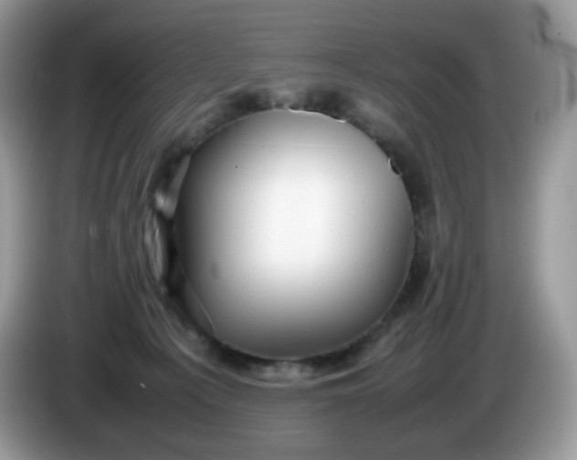 X0000086230225200704121921