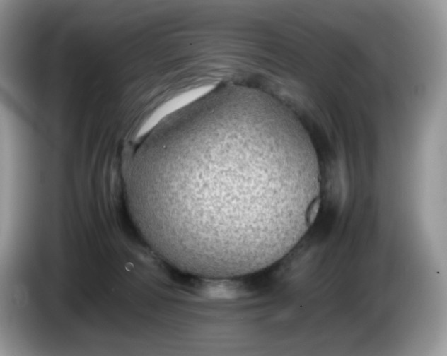 X0000086230226200704121921