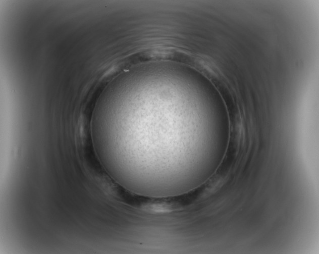 X0000086230228200704121921