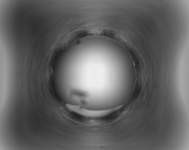 X0000086230229200704121921