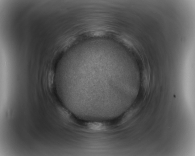 X0000086230230200704121921