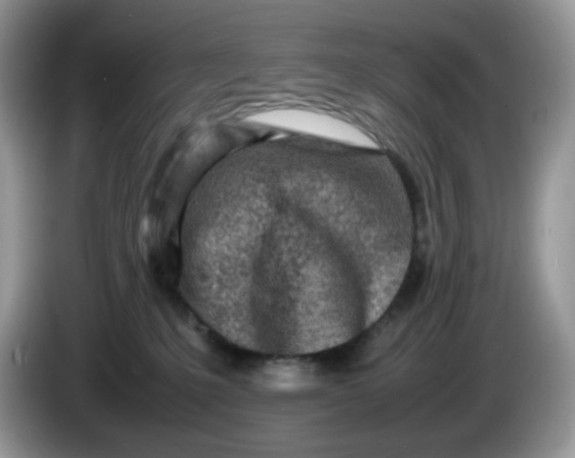 X0000086230231200704121921