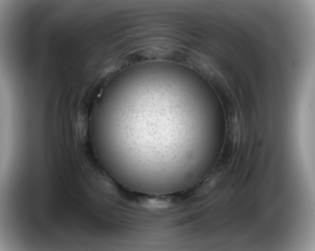 X0000086230232200704121921