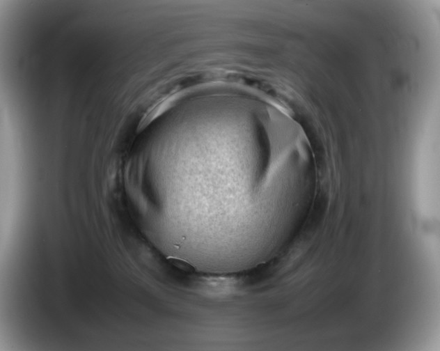 X0000086230233200704121921