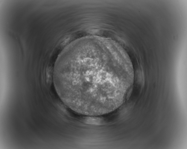 X0000086230234200704121921