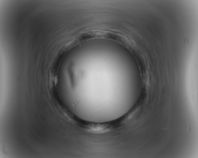 X0000086230235200704121921