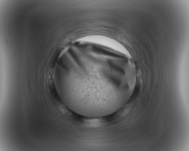 X0000086230237200704121921